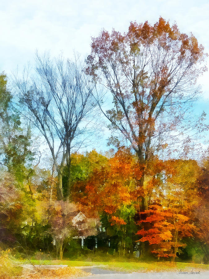 Tall Autumn Trees Photograph by Susan Savad