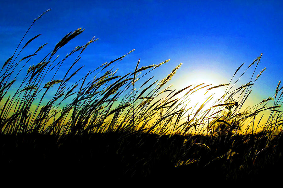 Sunset Photograph - Tall Grass by Bill Kesler