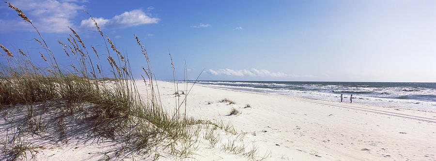 Gulf Islands National Seashore Photograph - Tall Grass On The Beach, Perdido Key by Panoramic Images