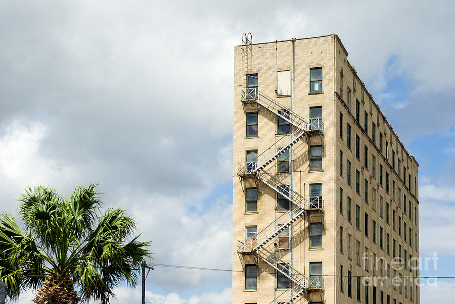 Tall narrow building with fire escape palm tree Photograph by Imagery by Charly