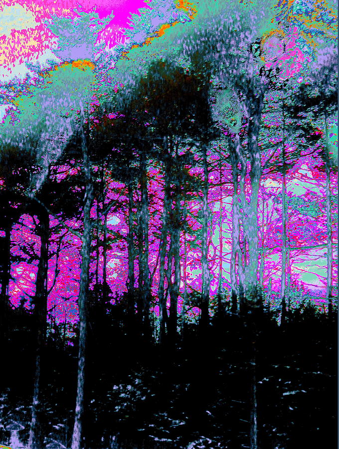 Tall Pines Digital Art by Priscilla Batzell Expressionist Art Studio Gallery