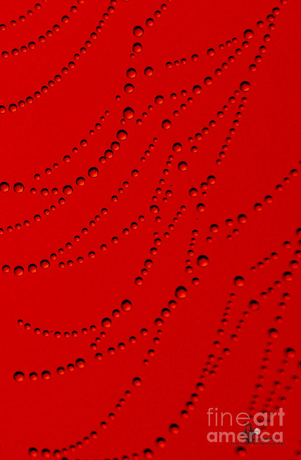 Tall Red Abstract Photograph by Ronald Grogan