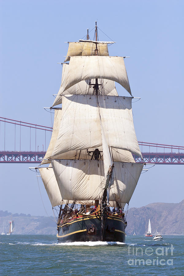 Tall Ship Bounty Photograph by Rick Pisio