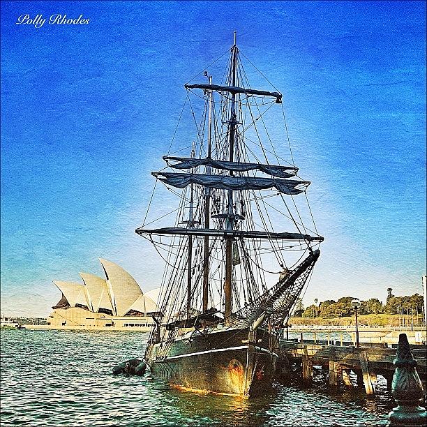 Tall Ship In Sydney Harbour Photograph by Polly Rhodes