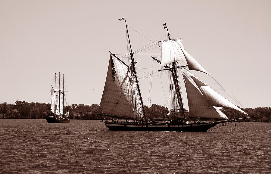Tall Ships 3 Photograph by Andrew Fare