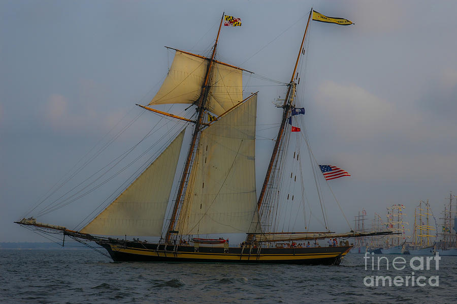 Tall Ships in the Lowcountry Photograph by Dale Powell