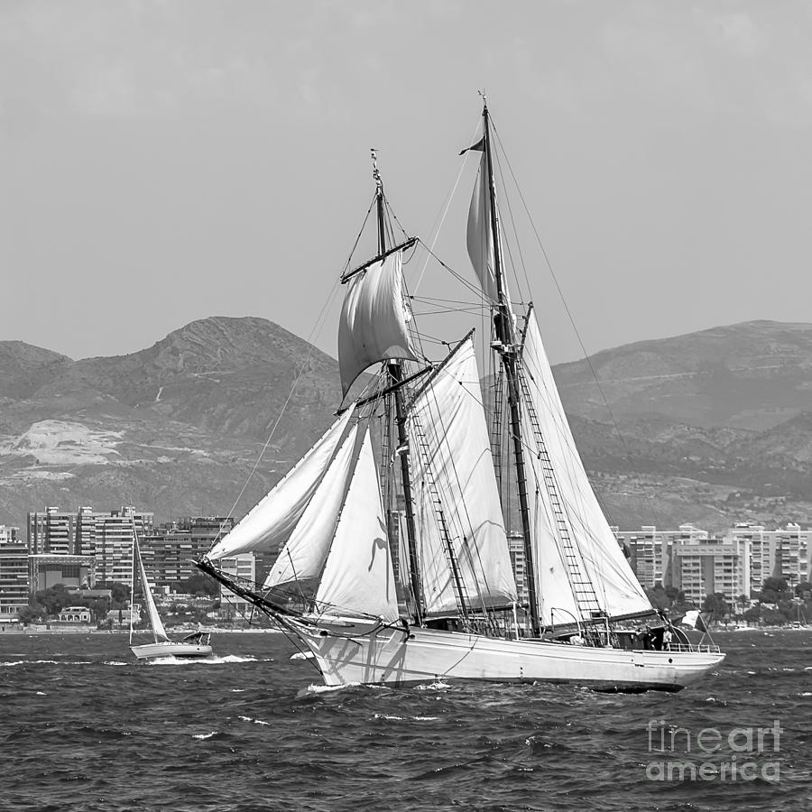 Tall Ships Races Photograph by Pablo Avanzini