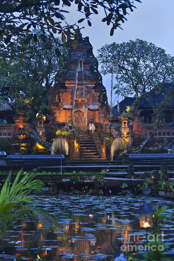 Taman Saraswati Temple Bali Photograph by Craig Lovell