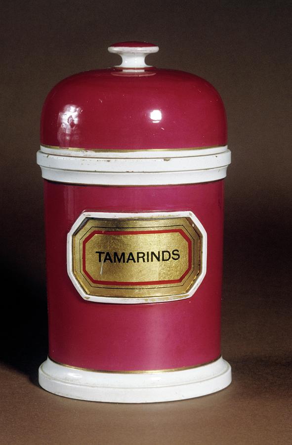 Tamarind Jar Photograph by Science Photo Library
