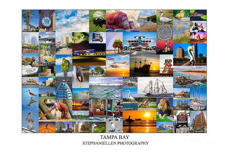Tampa Photograph - Tampa Bay Collage by Stephanie Hayes