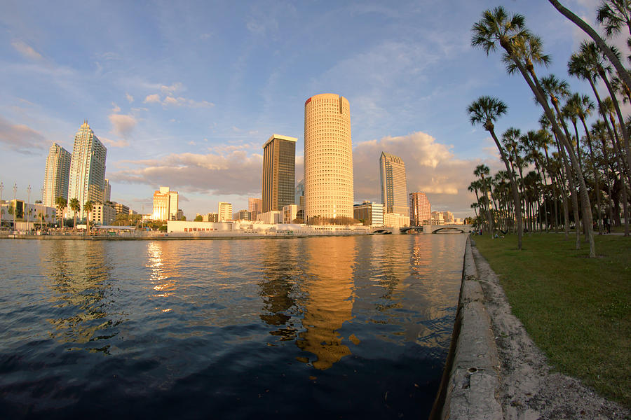 Tampa from Plant Park Photograph by Daniel Woodrum