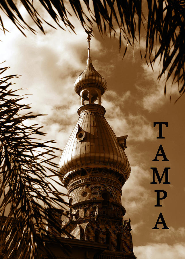 Tampa Minaret with palms Photograph by David Lee Thompson