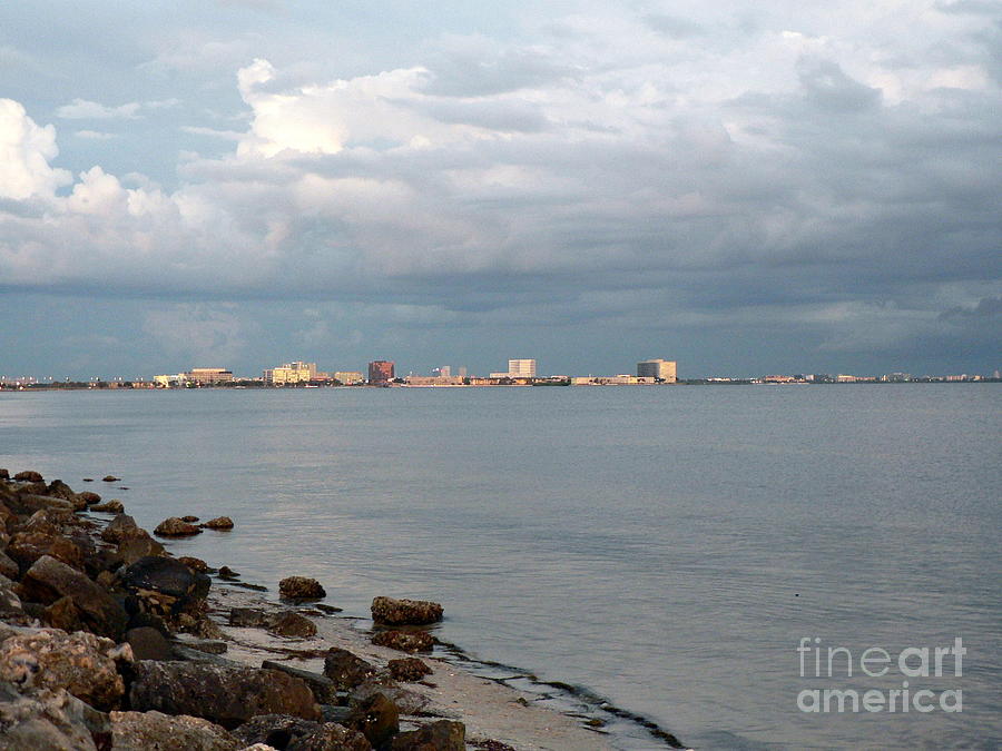 Tampa Skyline from Courtney Photograph by Elizabeth Fontaine-Barr
