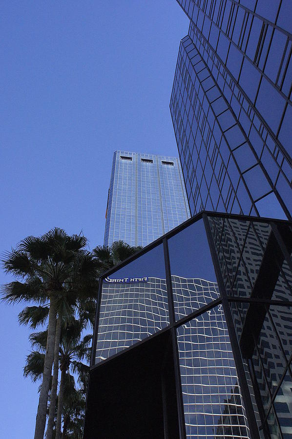 Tampa Skyscrapers Photograph by Laurie Perry
