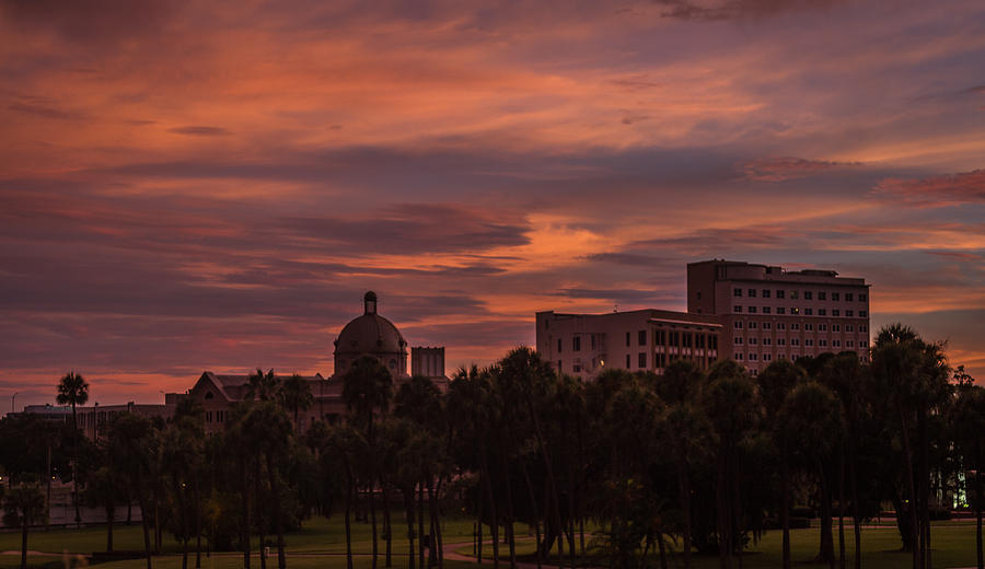 Tampa sunset Photograph by Jane Luxton