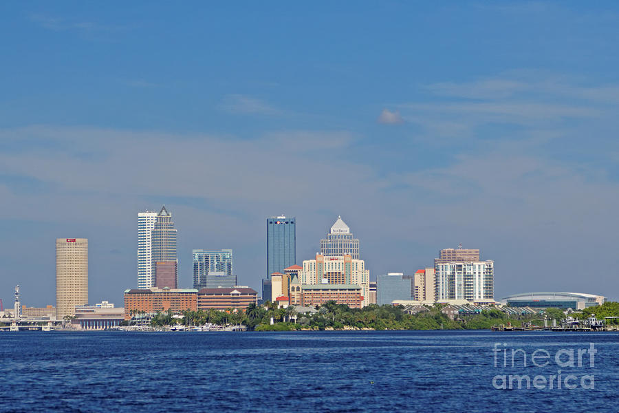 Tampa View from the Bay Photograph by Natural Focal Point Photography