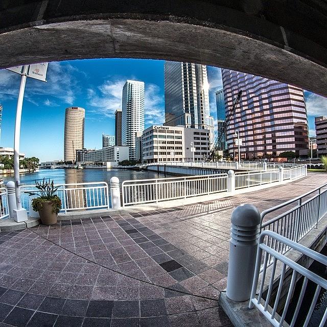 Tampa Photograph - Tampa by William  Carson Jr