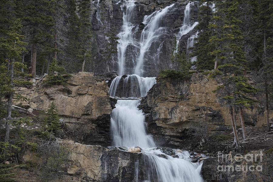 Tangel Creek Waterfall Photograph by David Arment