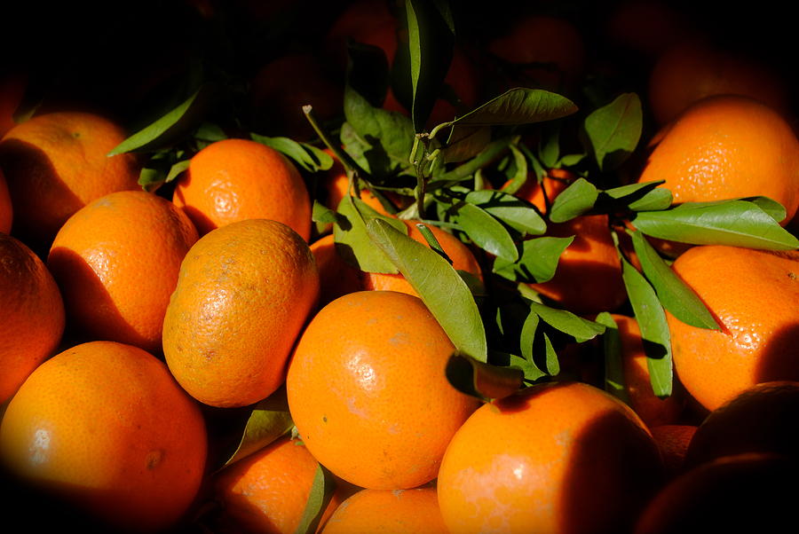 Fruit Photograph - Tangerine by Molly Costa