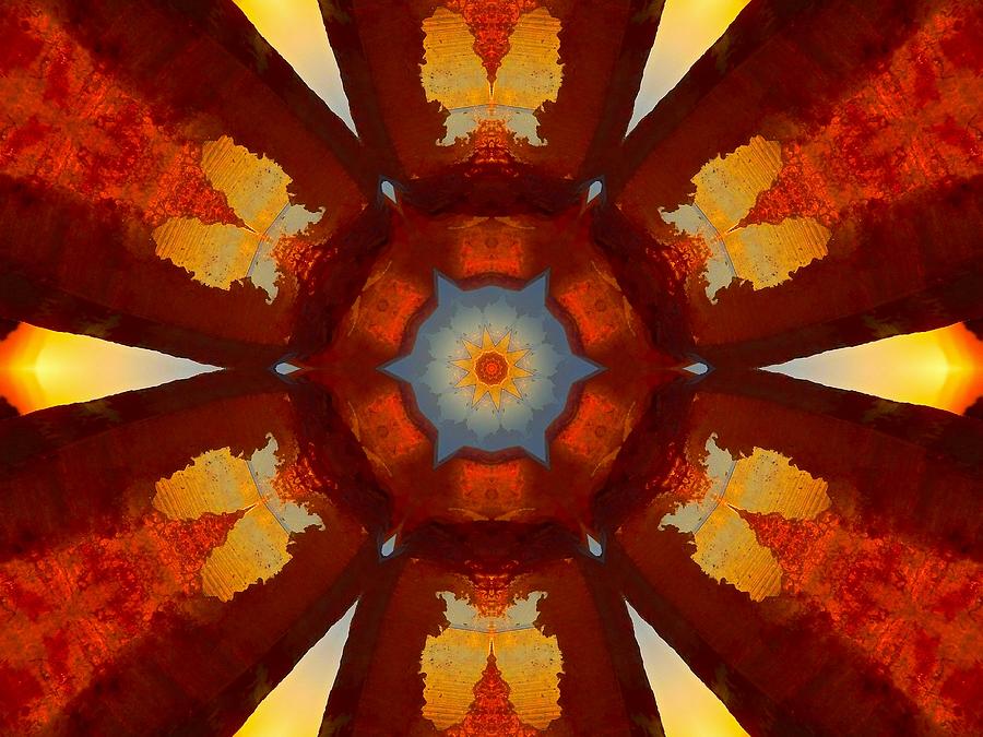 Tangerine Sunset Crystal Mandala Digital Art by Diane Lynn Hix