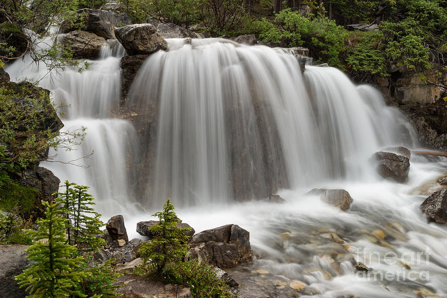 Mountain Photograph - Tangle Falls - Middle Stage by Charles Kozierok