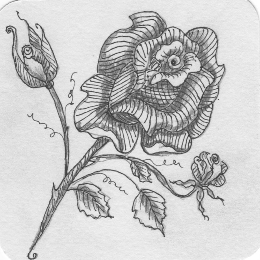 Tangle Rose 1 Drawing by Quwatha Valentine