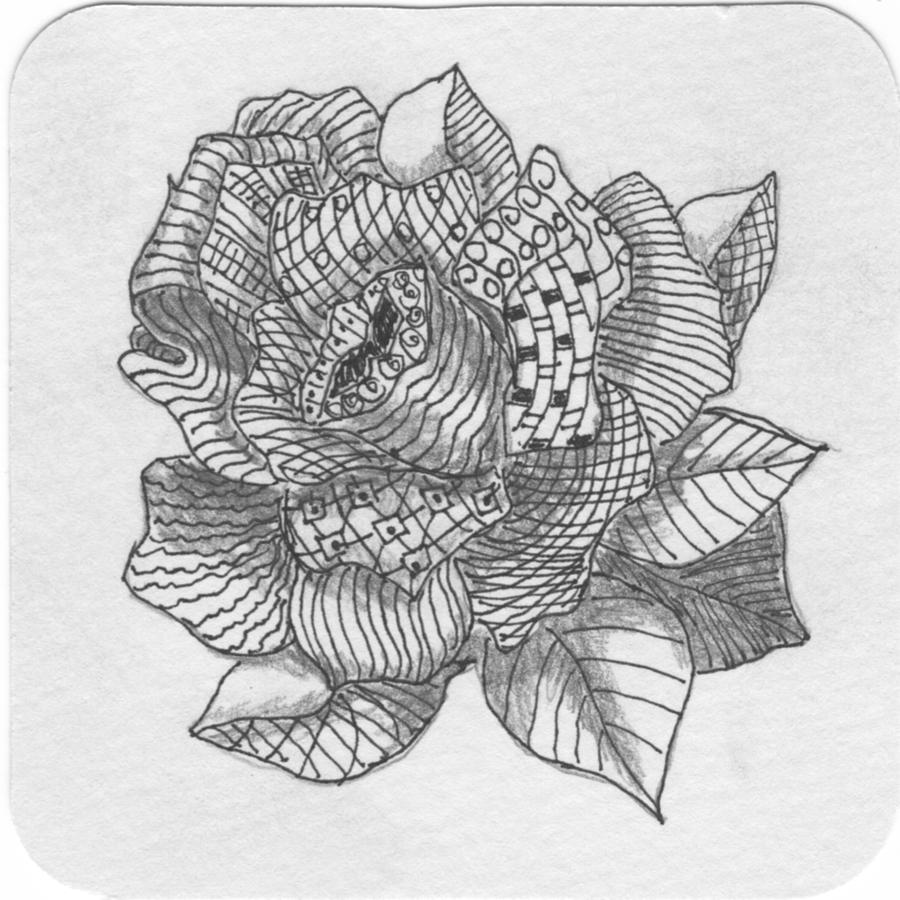 Tangle Rose 2 Drawing by Quwatha Valentine