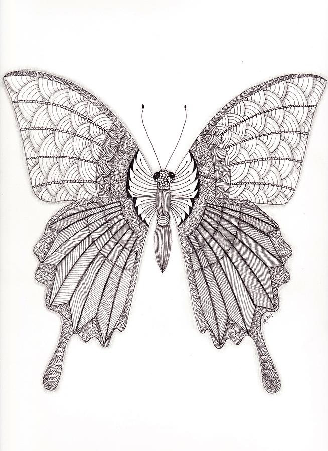 Tangled Butterfly Drawing by Christianne Gerstner - Fine Art America