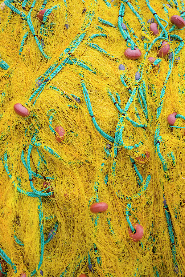 Tangled Fishing Nets, Fiskardo Photograph by David C Tomlinson