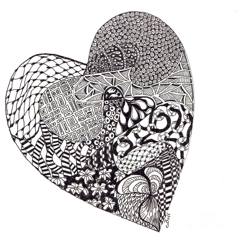 Tangled Heart Drawing by Claire Bull