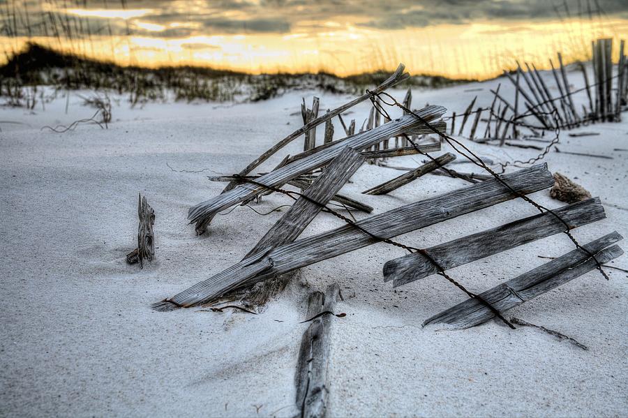 Gulf Islands National Seashore Photograph - Tangled  by JC Findley