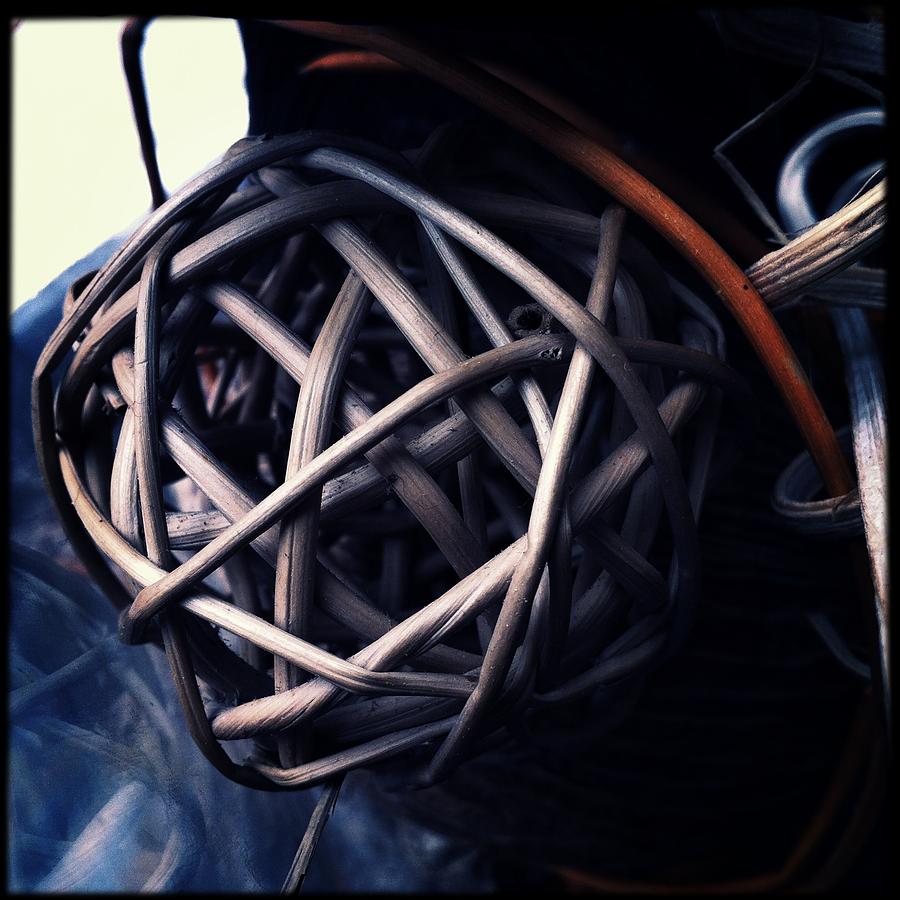 Tangled Photograph by Marco Oliveira