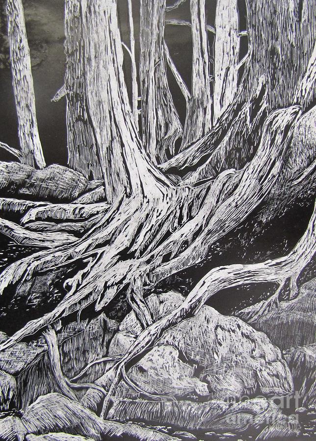 Tangled Roots Drawing by Bev Morgan