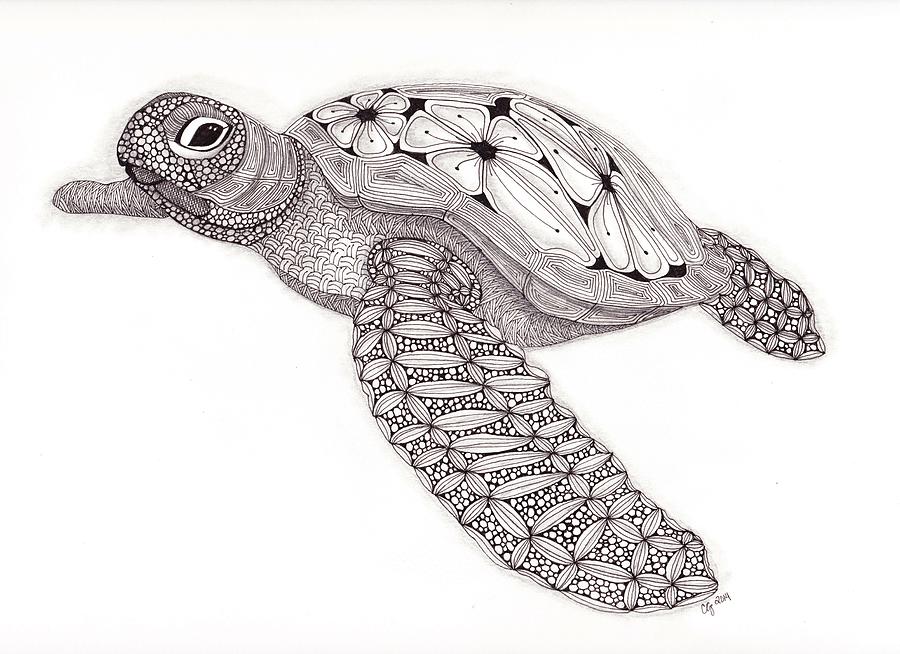 Turtle Drawing - Tangled Sea Turtle by Christianne Gerstner