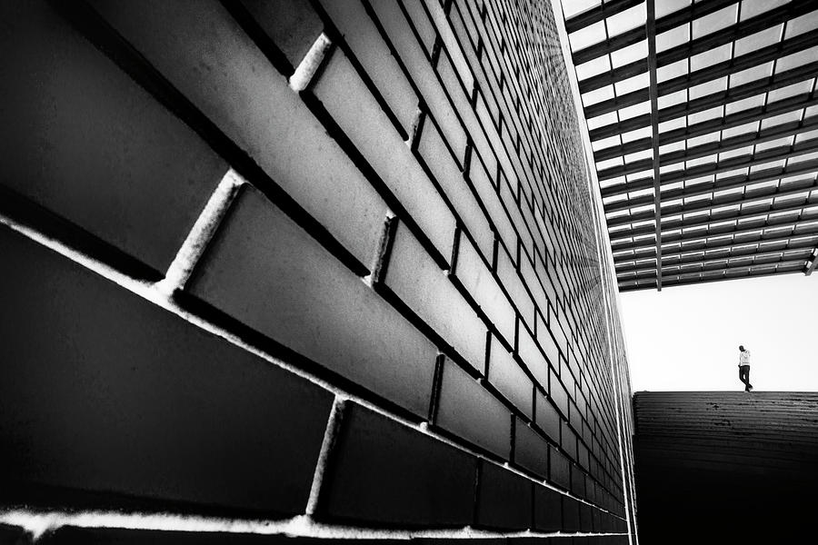 Aveiro Photograph - Tangles by Paulo Abrantes Aveiro Photograph - Tangles by Paulo Abrantes