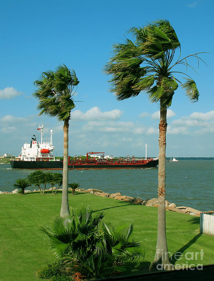 Tanker in Houston Ship Channel Photograph by Connie Fox
