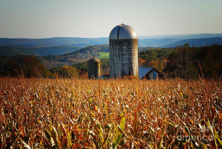 Tanner Hill Farm Connecticut Photograph by Sabine Jacobs