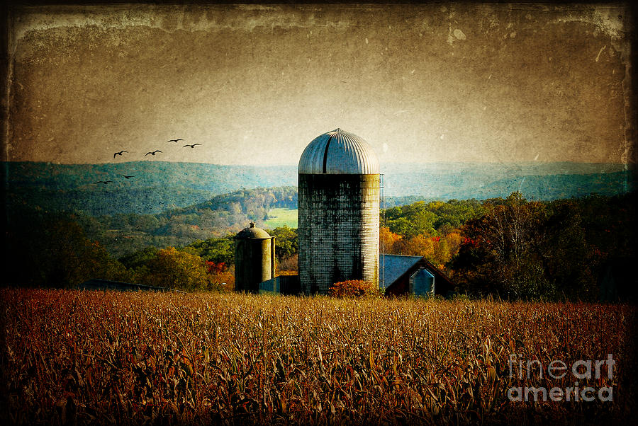 Tanner Hill Farm in the Fall Connecticut USA Photograph by Sabine Jacobs