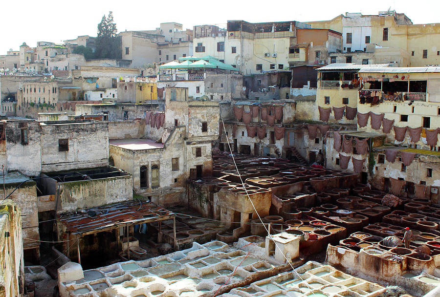 Tanneries Almedina - Fez - Morocco Photograph by Lelia Valduga