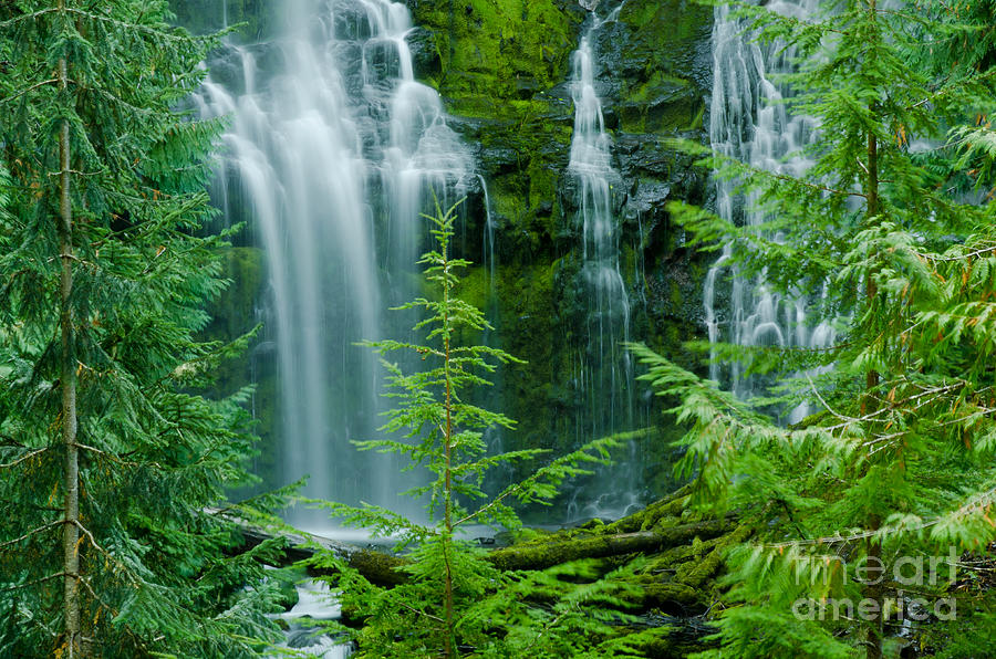 Pacific Northwest Waterfall Photograph by Nick Boren