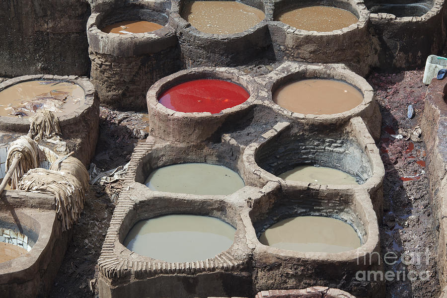 Paint basins at the Tannery in Fez Photograph by Patricia Hofmeester