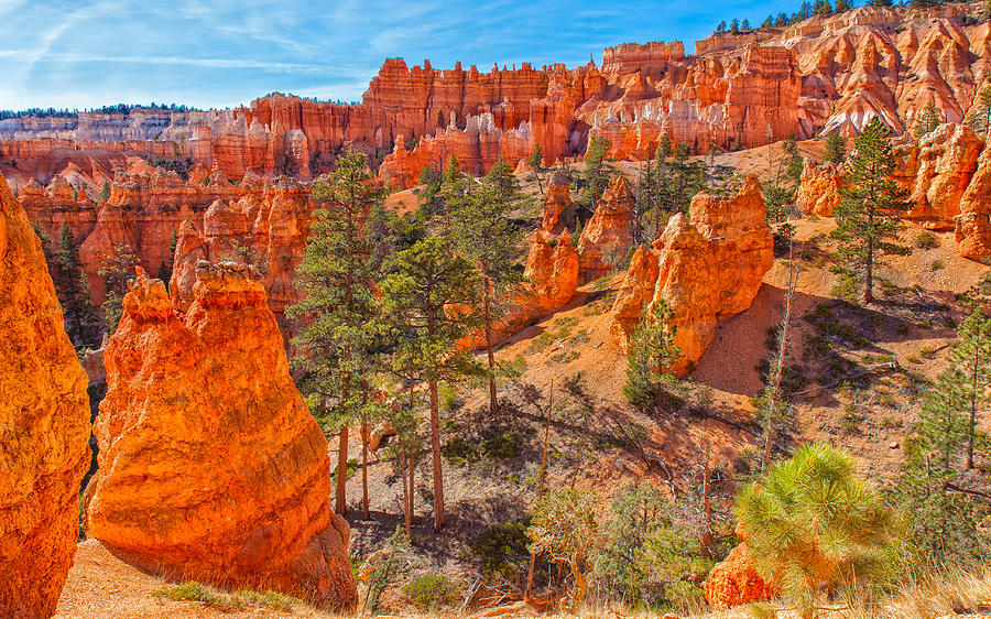 Bryce Canyon National Park Photograph - Tantalizing Bryce by John M Bailey