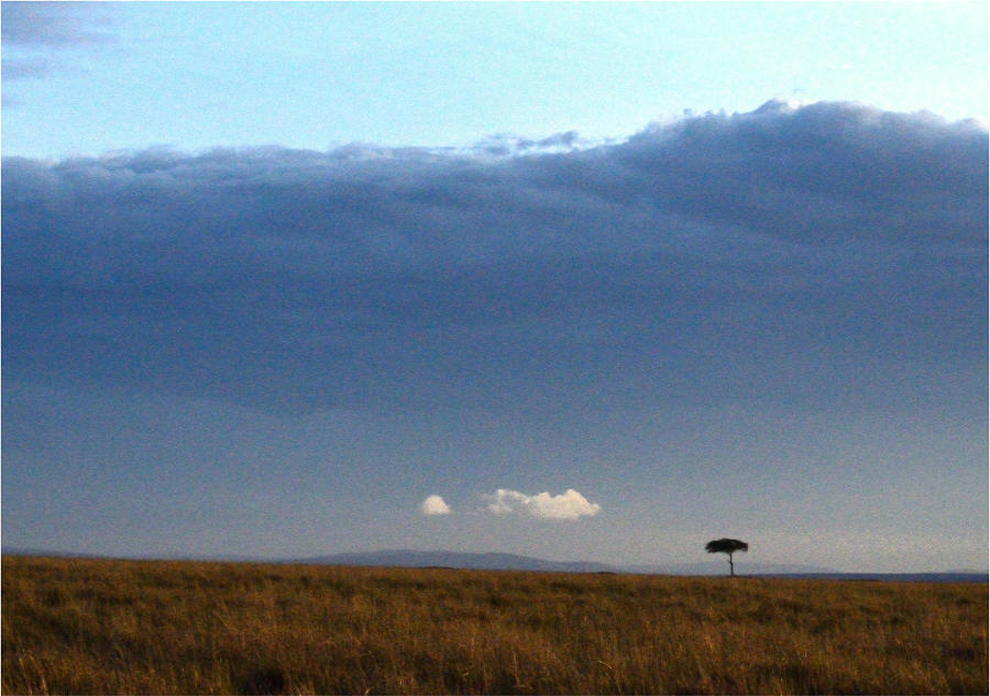 Tanzanian Landscape Photograph by Tom Wurl