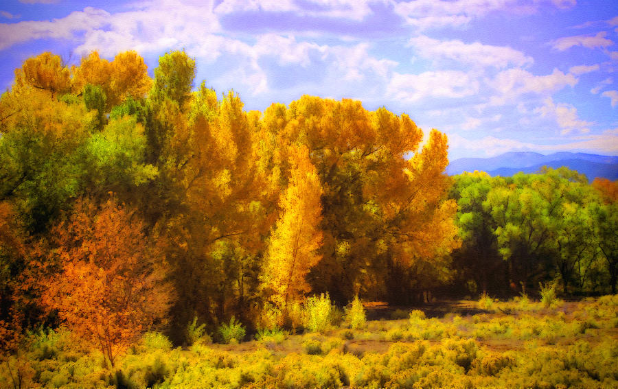 Taos Autumn Trees Photograph by Ann Powell