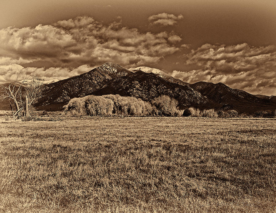 Taos Mountain in platinum  Digital Art by Charles Muhle