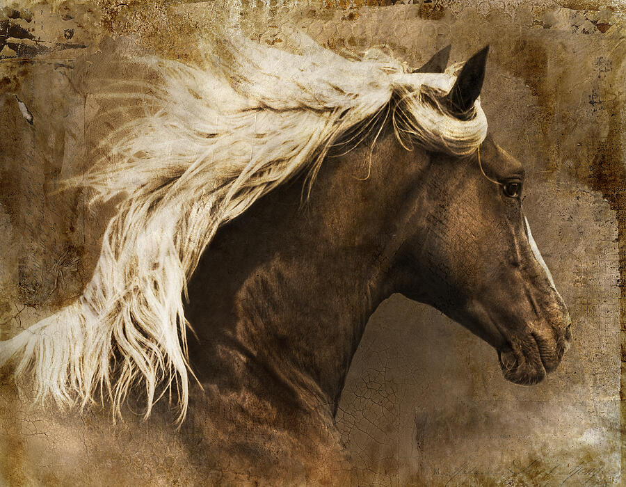 Horse Photograph - Taos by Priscilla Burgers