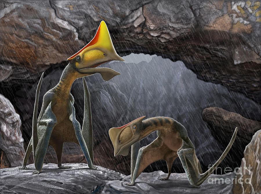 Tapejara Wellnhoferi Pterosaurs Seek Digital Art by Sergey Krasovskiy