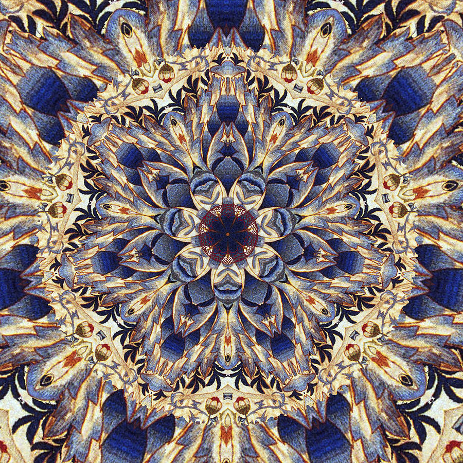 Tapestry Mandala Photograph by Deborah Smith