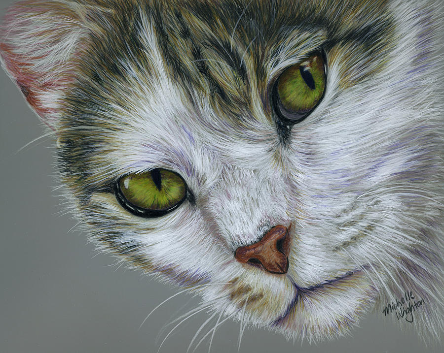 Tara Cat Art Painting by Michelle Wrighton