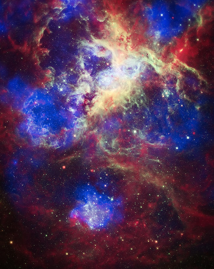 Space Photograph - Tarantula Nebula 2 by Jennifer Rondinelli Reilly - Fine Art Photography